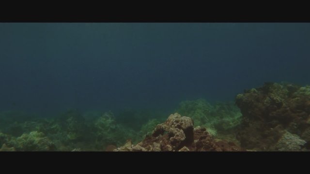 Maneater (2022) Fragman