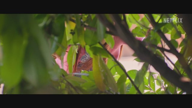 Ivy and Bean (2022) Fragman