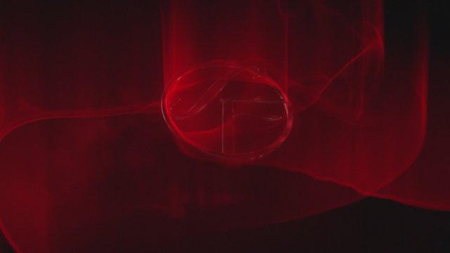 Forbannelsen (2022) Fragman