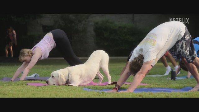 Dog Gone (2023) Fragman