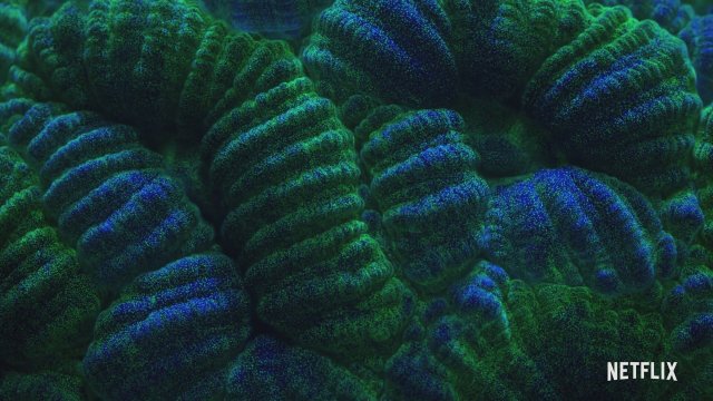 Dünya'da Gece Kamera Arkası (2020) Fragman