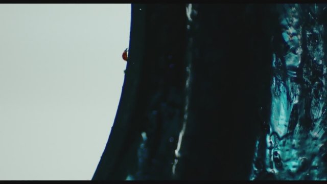 Holy Shit! (2022) Fragman