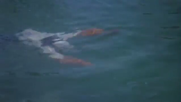 Temel Reis (1980) Fragman