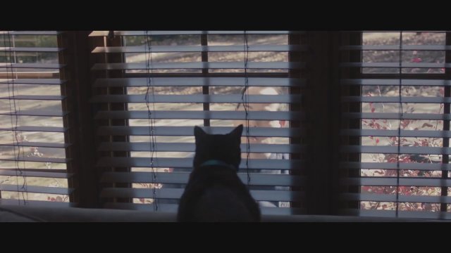 I’ll Be Watching (2023) Fragman