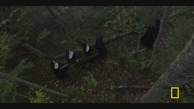 Barkskins (2020) Fragman