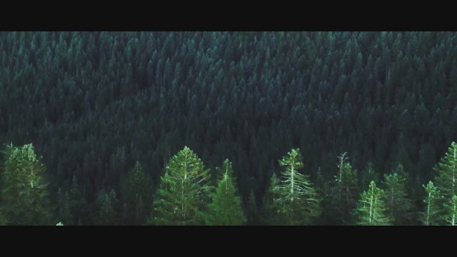 Summoning the Spirit (2023) Fragman