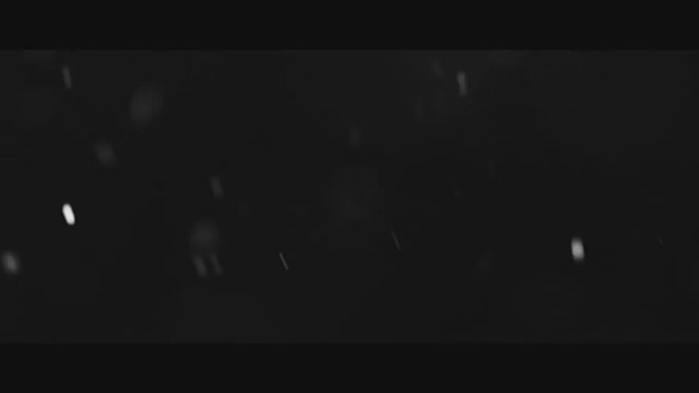 Skinford: Death Sentence (2023) Fragman