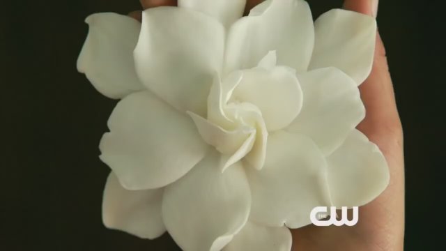 Jane the Virgin (2014) 1. Sezon Fragmanı