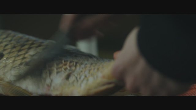 Usekovanje (2022) Fragman