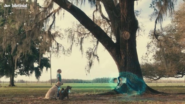 Uzay Köpekleri (2023) Türkçe Dublajlı Fragman