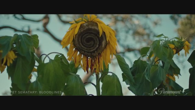 Pet Sematary: Bloodlines (2023) Fragman