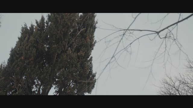 Kent Mezarlığında Sızıntı (2023) Fragman