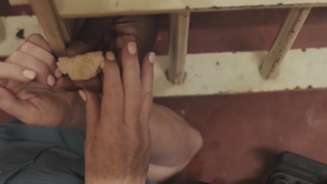 Shelter in Solitude (2023) Fragman