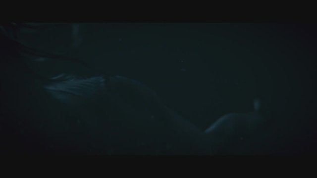 Gece Yüzüşü (2024) Türkçe Altyazılı Fragman