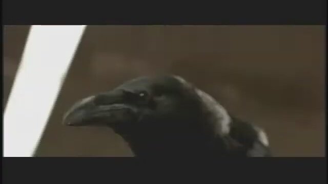 Six Feet Under (2004) 4. Sezon Fragman