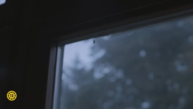 Valami madarak (2023) Fragman