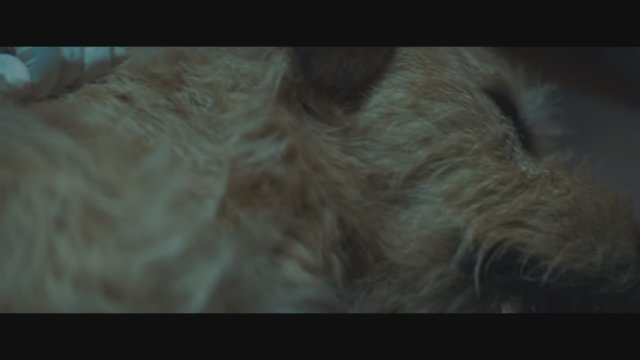 Arthur the King (2024) Fragman