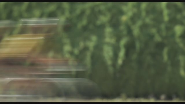 No Dogs or Italians Allowed (2022) - Fragman