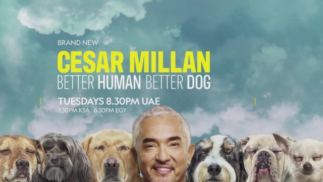 Cesar Millan: Better Human Better Dog (2021) 1. Sezon Fragmanı