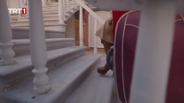 Kül Masalı (2024) Fragman