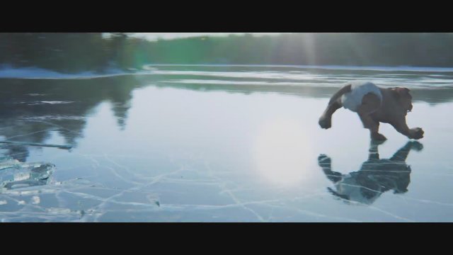 Cat and Dog (2024) Fragman