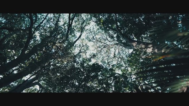 The Convert (2023) Fragman