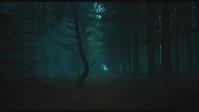 The Watchers (2024) Fragman