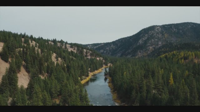 You Can't Run Forever (2024) Fragman