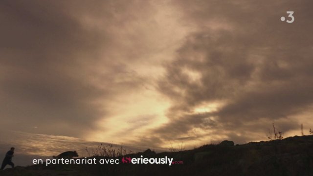 Hudson & Rex (2019) 1. Sezon Fragmanı