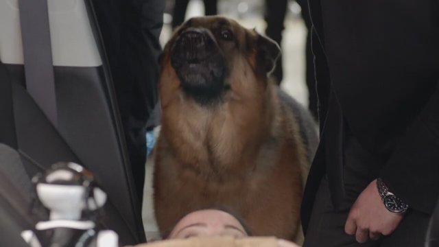 Hudson & Rex (2019) 2. Sezon Fragmanı