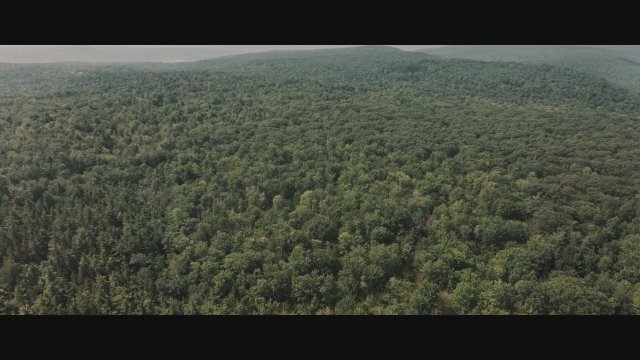 The Hangman (2024) Fragman