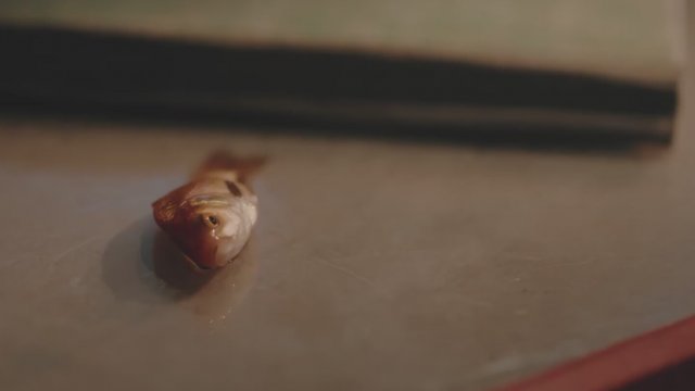 Karganın Uykusu (2023) Fragman