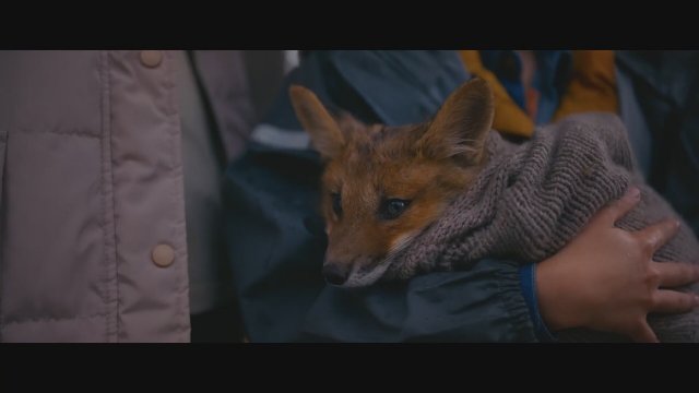 My Wild Friend (2024) Fragman