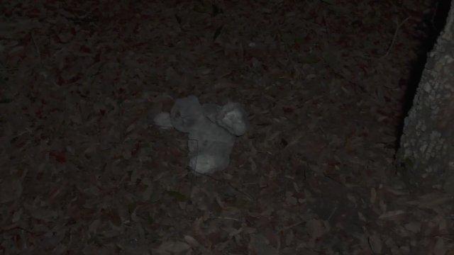 Korku Ormanı (2023) Fragman