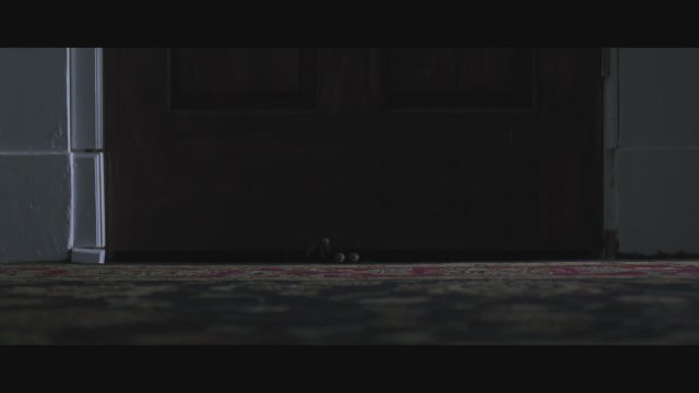 Bag of Lies (2024) Fragman