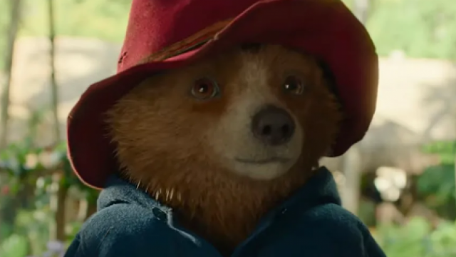 Ayı Paddington: Ormanda Macera (2025) Fragman