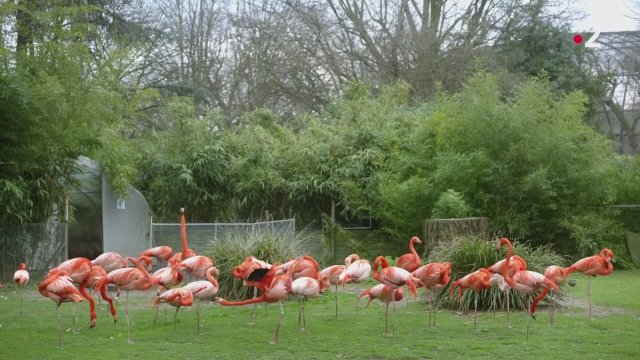 Call My Agent! (2018) 3. Sezon Fragmanı