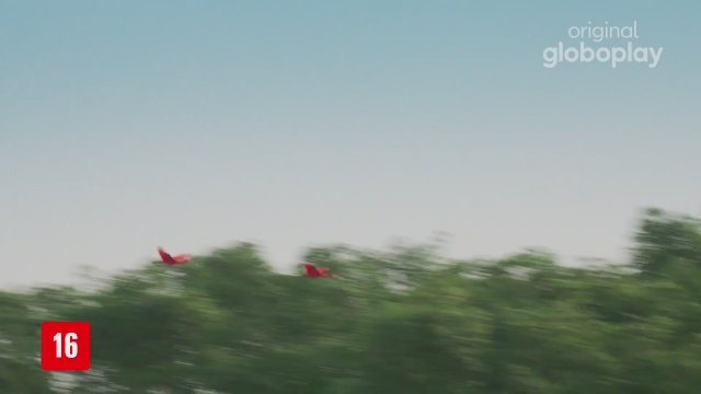 Aruanas (2019) 2. Sezon Fragmanı