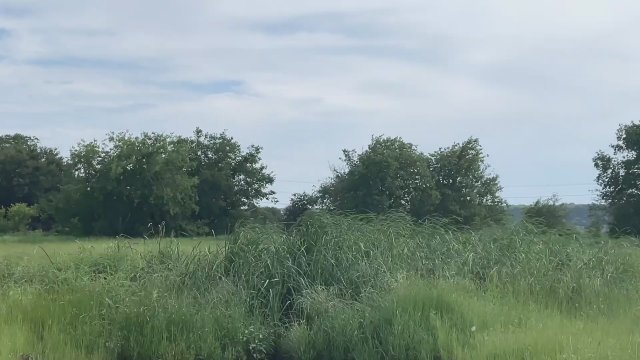 The Crypto (2023) Fragman