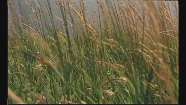 Harvest (2024) Fragman