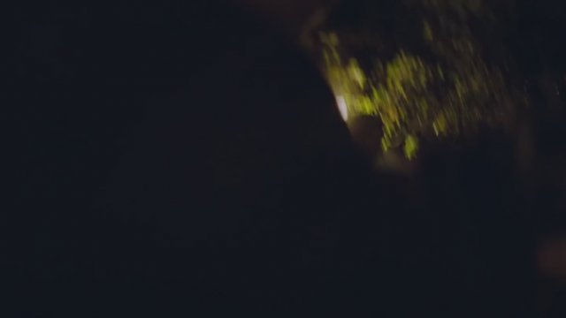 Originless (2020) Fragman