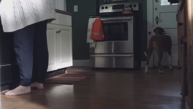 Downward Dog (2017) - Fragman