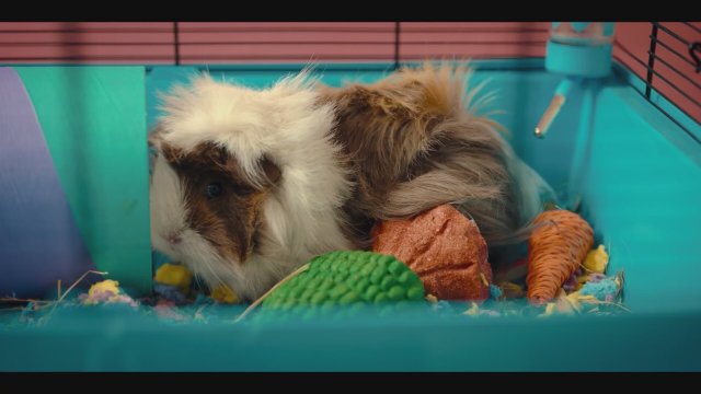 Gelecek Yıl Aynı Yerde (2024) Türkçe Altyazılı Fragman