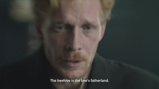 Shadow (2024) Fragman