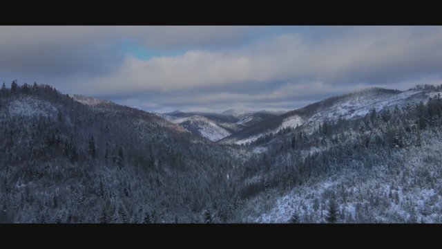 Walking Supply (2023) Fragman