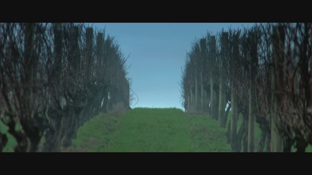 Heart Eyes (2025) Fragman