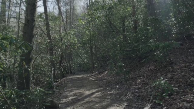 Wild Crime (2024) - 4.Sezon Tanıtım