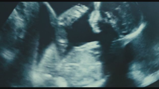 Inside (2024) Fragman