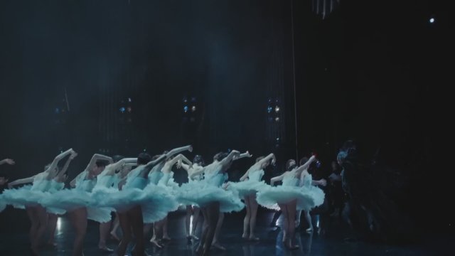 Swan Song 82024) - Fragman