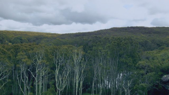 Banished (2015) - Fragman